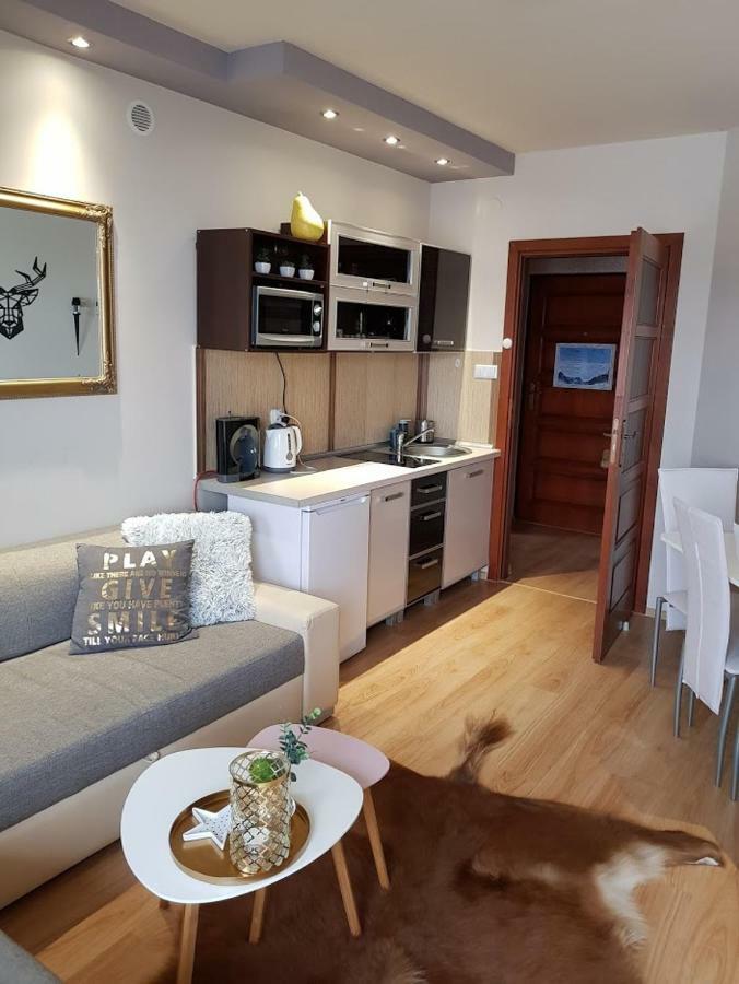 Apartament Morskie Oko Косцелиско Экстерьер фото