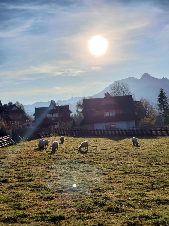 Apartament Morskie Oko Косцелиско Экстерьер фото